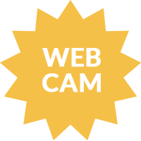 Sunburst with text Web Cam