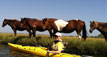 Assateague Back Bay Pony Tour Assateague Back Bay Pony Tour