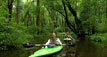 Bald Cypress Tour Bald Cypress Tour