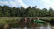 Little Assawoman Back Bay Tour Little Assawoman Back Bay Tour
