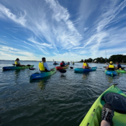 kayak in the bay