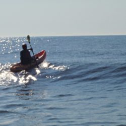 ocean paddle 2