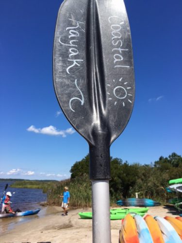 Used Kayak Paddle
