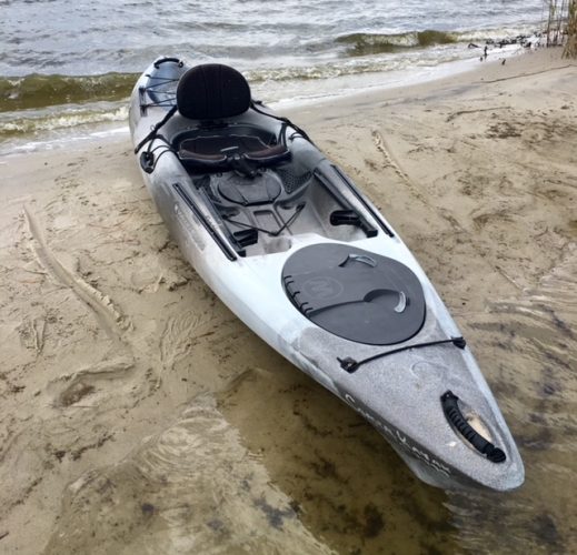 tarpon for sale