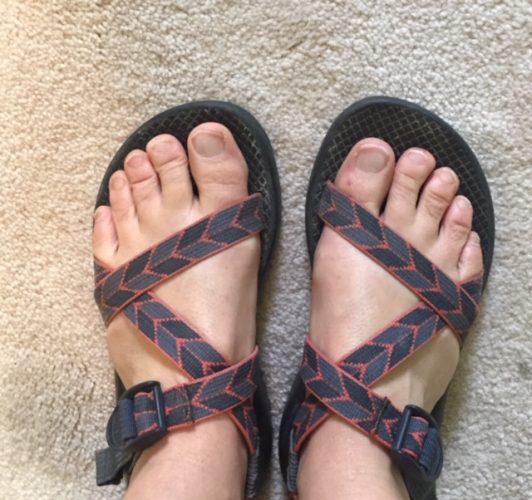 chacos