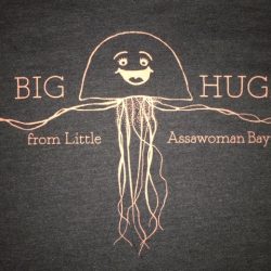 Big Hugs Ladies Tunic