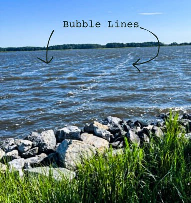 Bubble Lines - 1